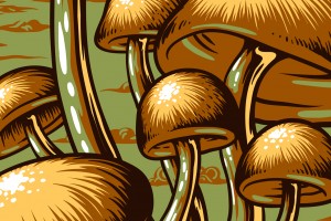 Mark Farina - Mushroom Jazz Tour 2011