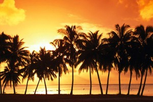 Relentless Beach House vol.3