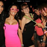 fedde-le-grand-007