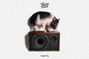 Tommy Trash Previews 'Truffle Pig'